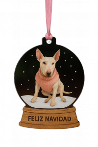 Adobe Express 2025-10-27 14.56.47