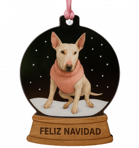 Adobe Express 2025-10-27 14.56.47